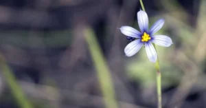 Neue Rechtsprechung fuer Naturschutz min